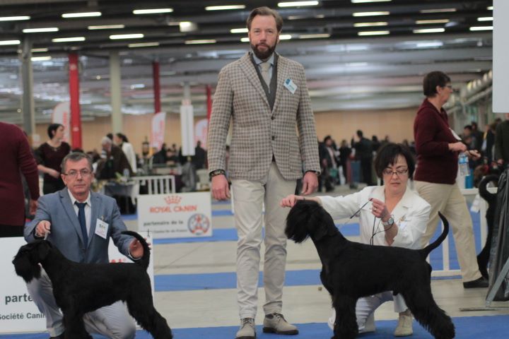 des terres d'aunis - PARIS DOG SHOW le 8 janvier 2017