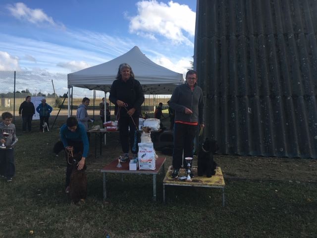 des terres d'aunis - SELECTIF GRAND PRIX DE FRANCE AGILITY