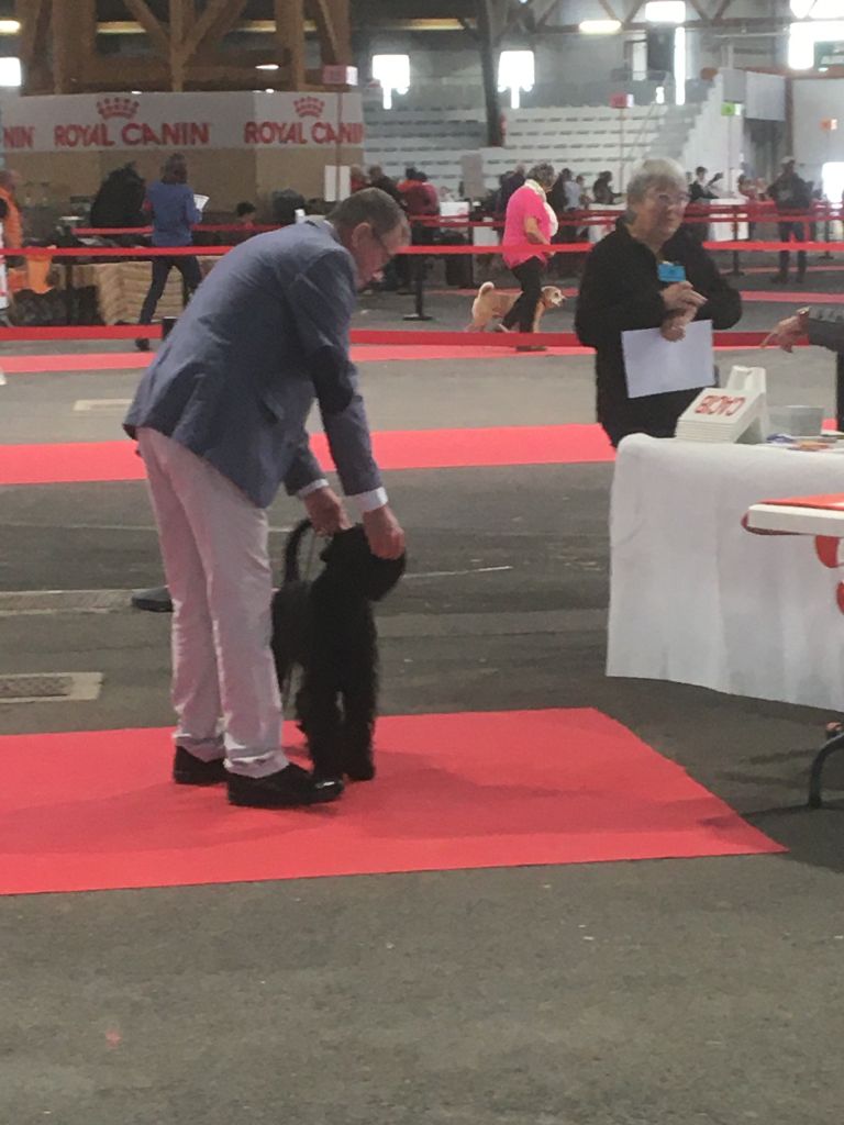 des terres d'aunis - POITIERS LE 23 OCTOBRE 2022